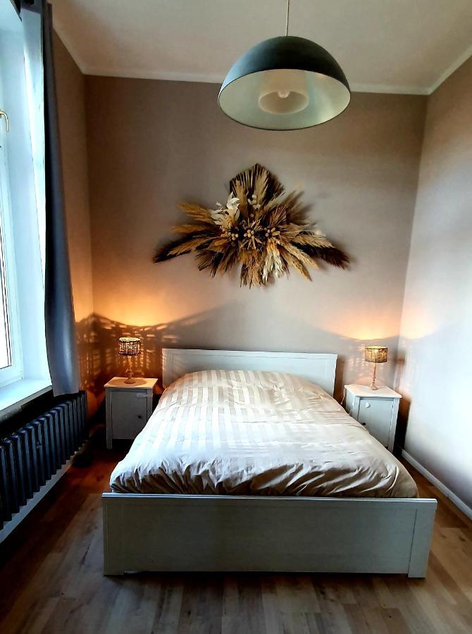 Vogtlandperle Appartement Oelsnitz  Buitenkant foto
